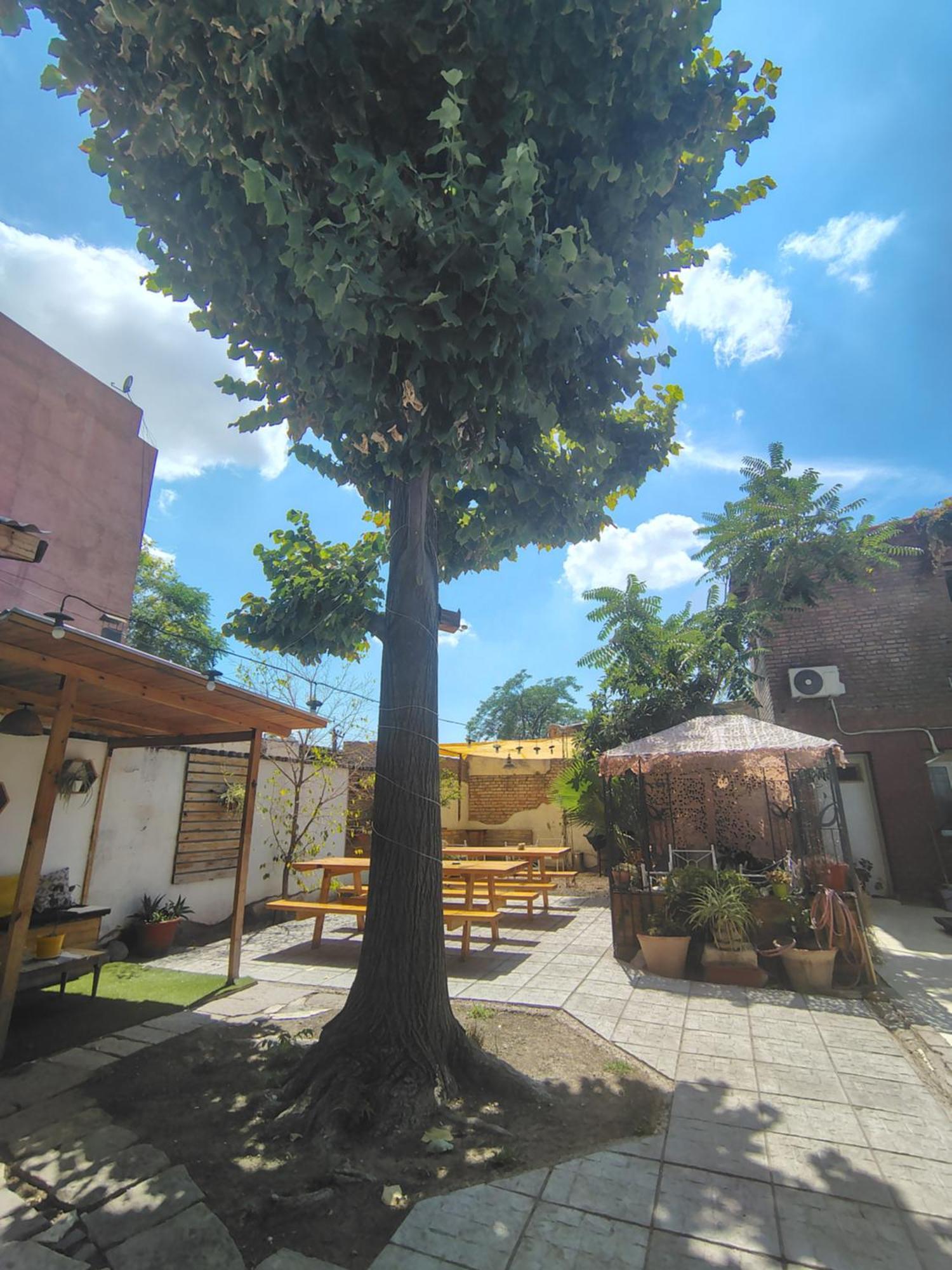 Mora Hostel Mendoza Exterior foto